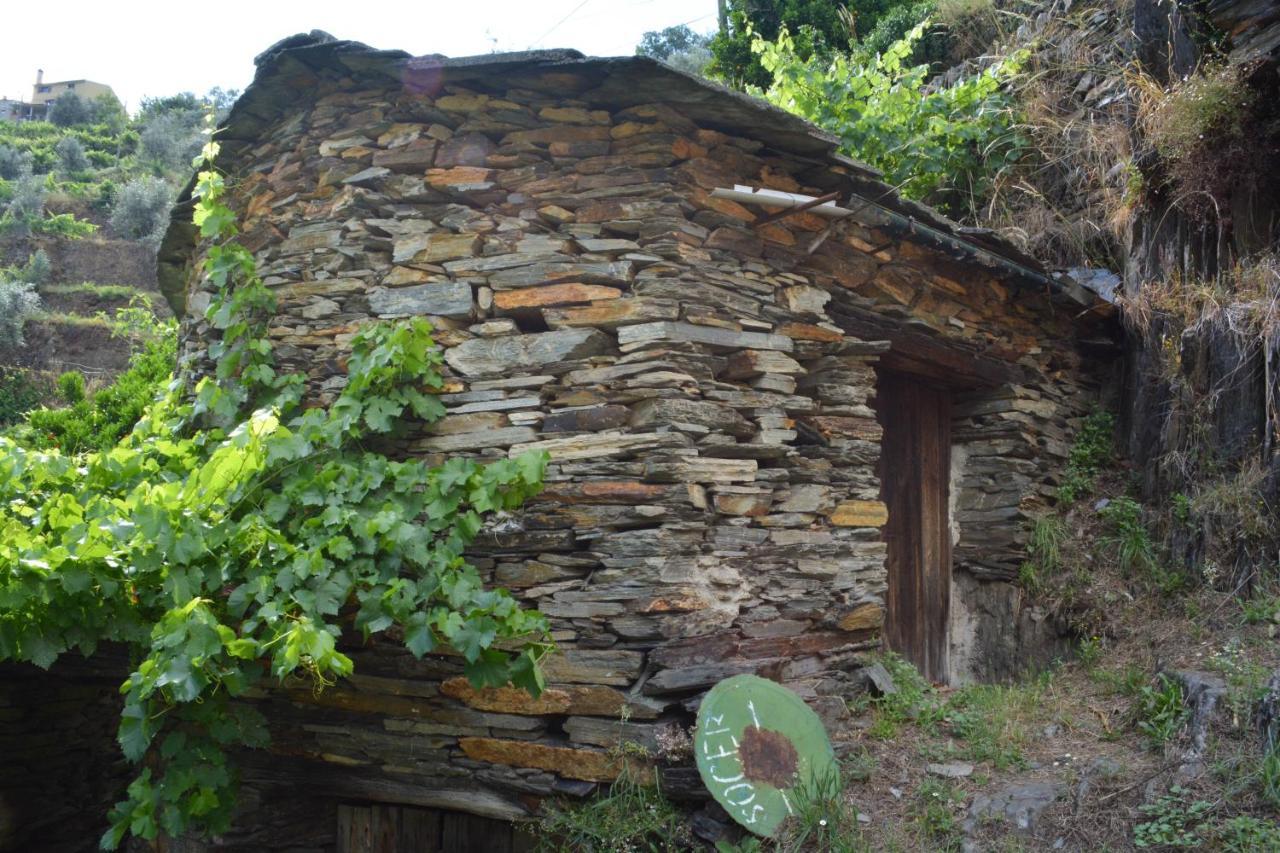 Vila Casa Do Azereiro Casal do Rei  Exteriér fotografie